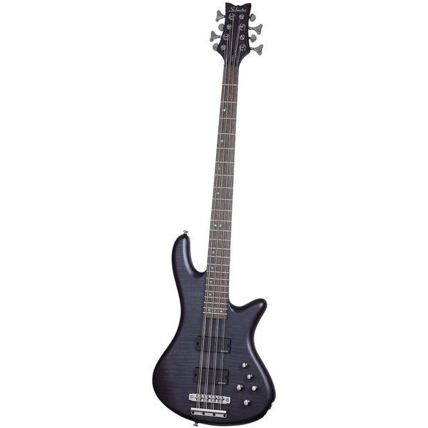 8-string schecte studio.jpg