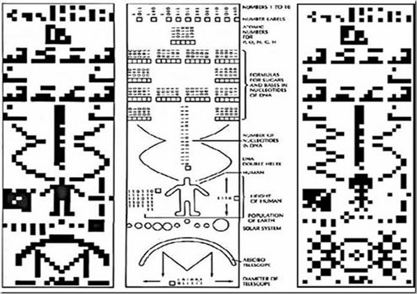 binary code crop circle.jpg