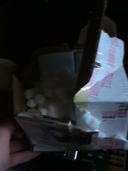 Don't come between a boar and his truffle.