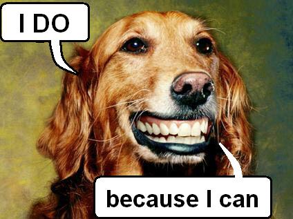 the dog can do it.jpg