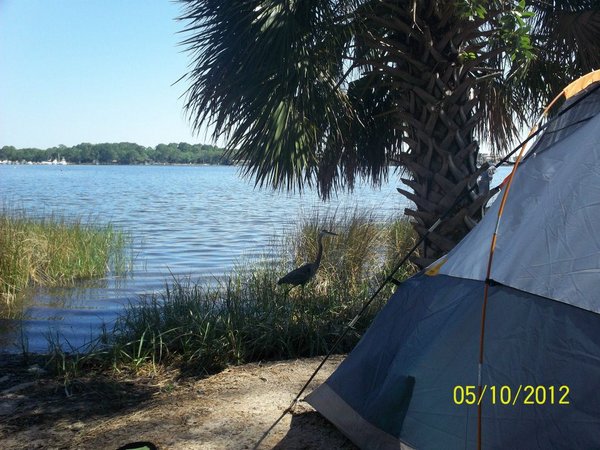heron.jpg