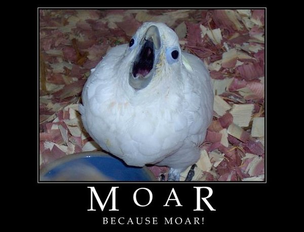 moar337d464ii4.jpg