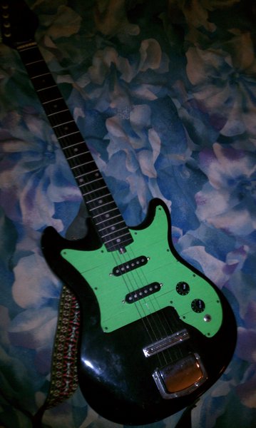 IMAG0267.jpg