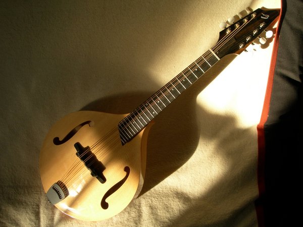 breedlove of