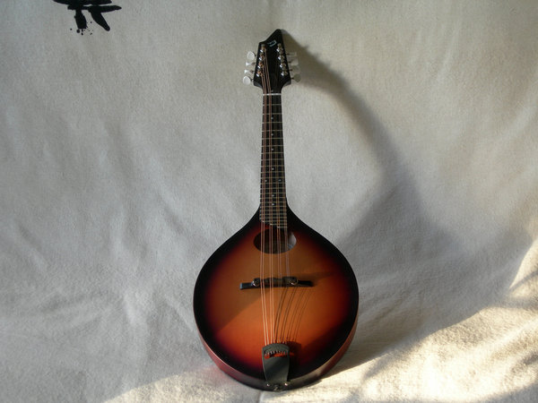 breedlove oo
