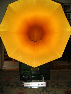 amp and horn 2 005.jpg