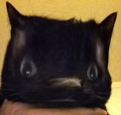 image.jpg