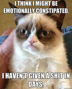 Grumpy Cat Emotionally Constipated.jpg
