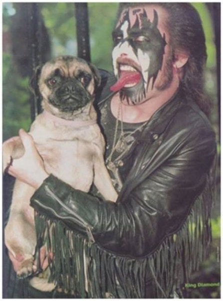 Pug Diamond.jpg