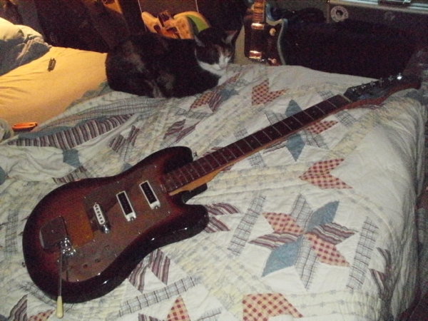 P7310356.JPG