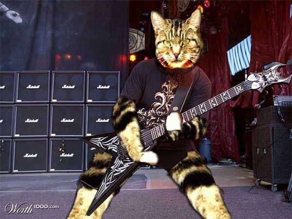 slayercat.jpg