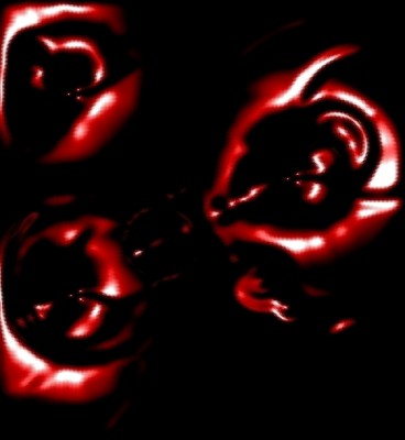 Liquidrose.jpg