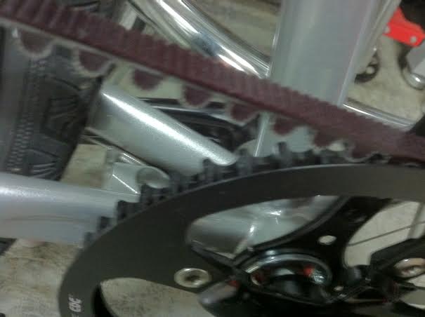 gates belt front.jpg