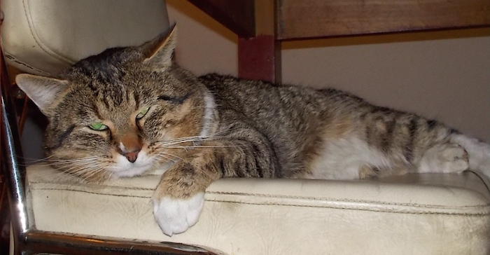 DSCN0113.JPG