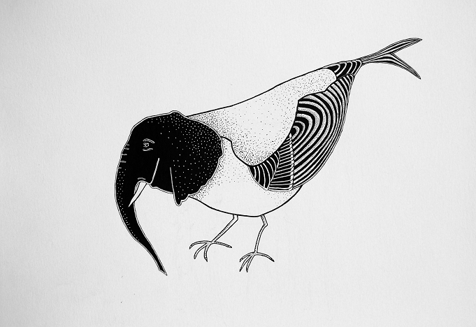 Elephant bird