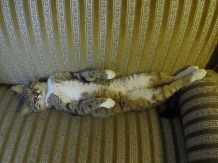 ah, this is the good life!