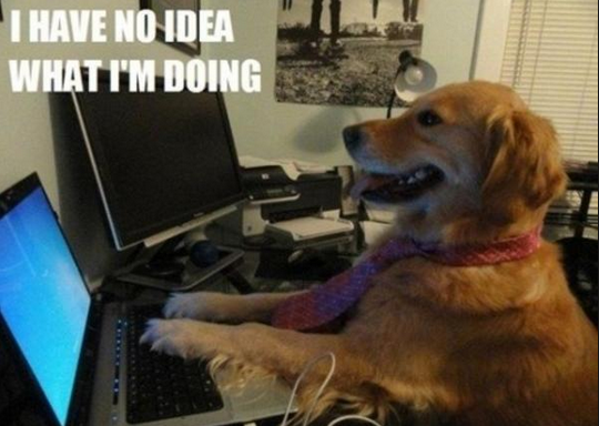 bailey-computer1.png