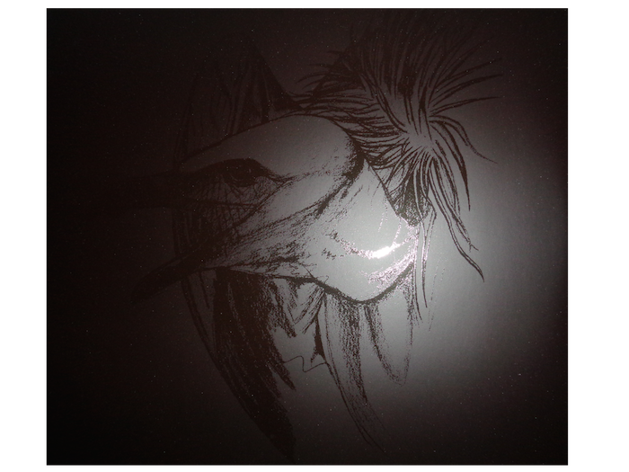 DSC00610.png