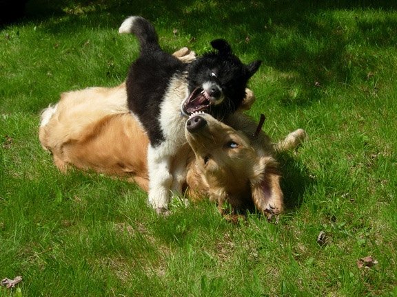 Nugz+Wrex.jpg