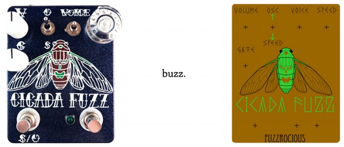 buzz2.jpg