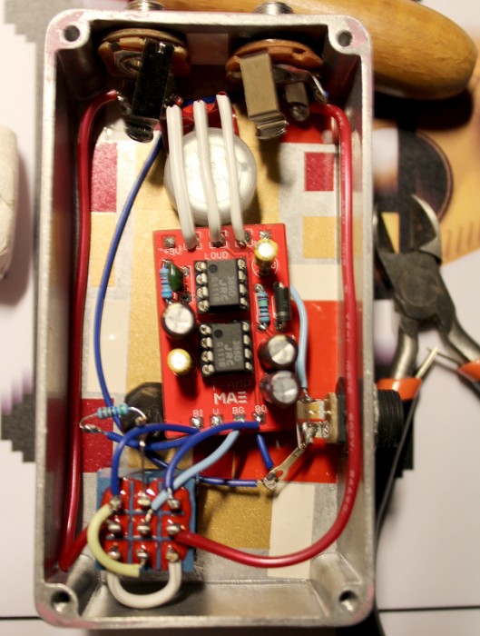 t-amp_guts.JPG