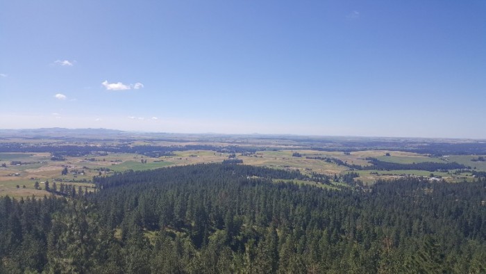 20180707_102347-800x450.jpg