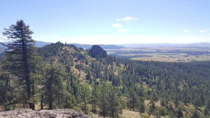 20180707_105815-800x450.jpg