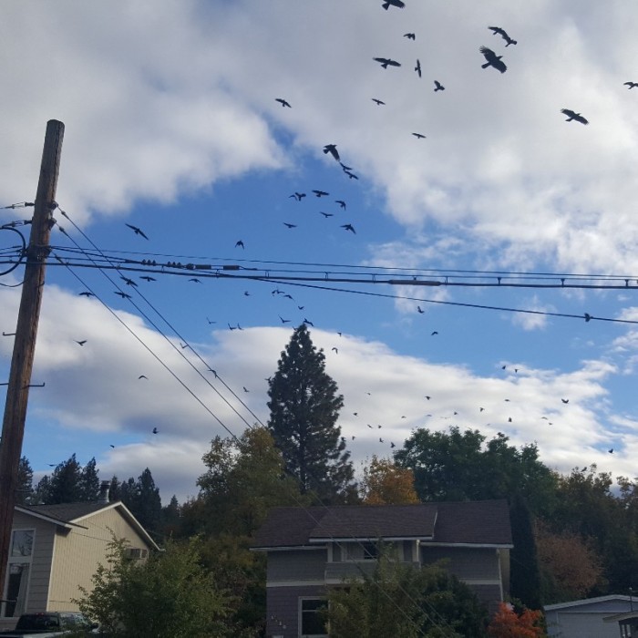 20181009_161420-800x800.jpg