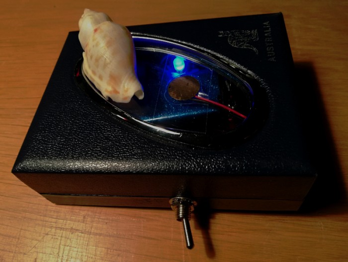 piezo_1s.jpg