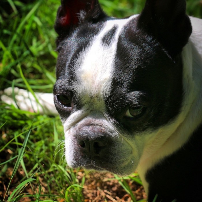 that fucking face!!!