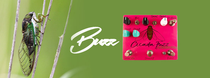 cicadafuzzv5_banner.jpg