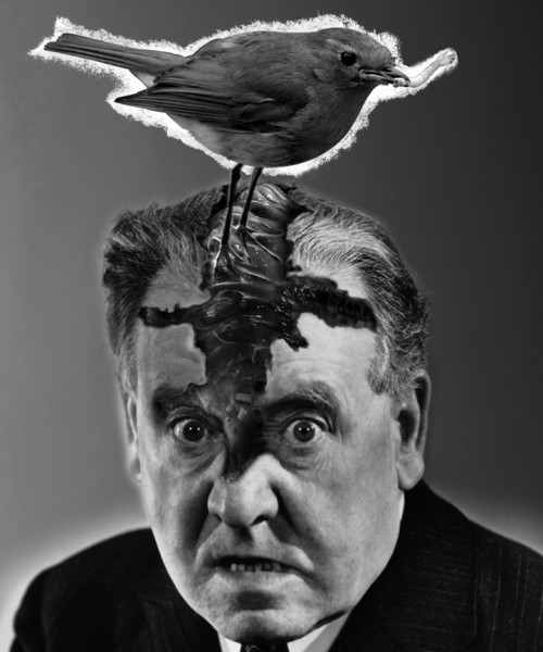 BirdsAreSecretlyEvil.jpg