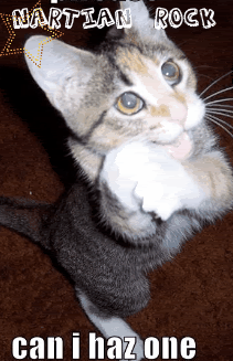 kittehn-1.gif