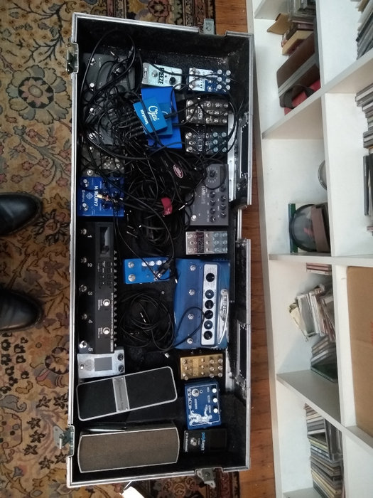7 Pedals in Case (small).jpg