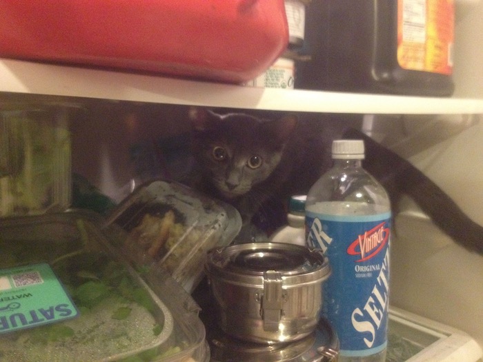 IMG_1070.jpeg