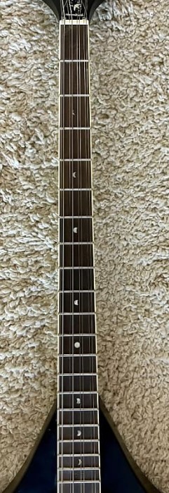 moonbird neck.jpg