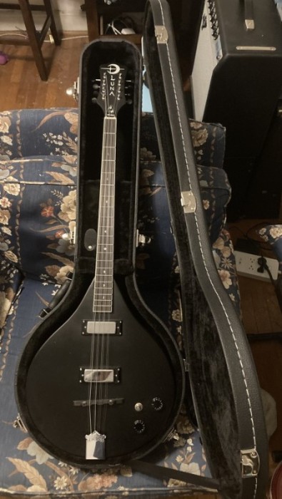 bouzouki case.jpg