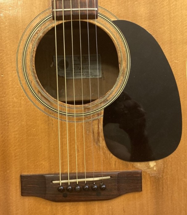 Epiphone clear coat.jpg