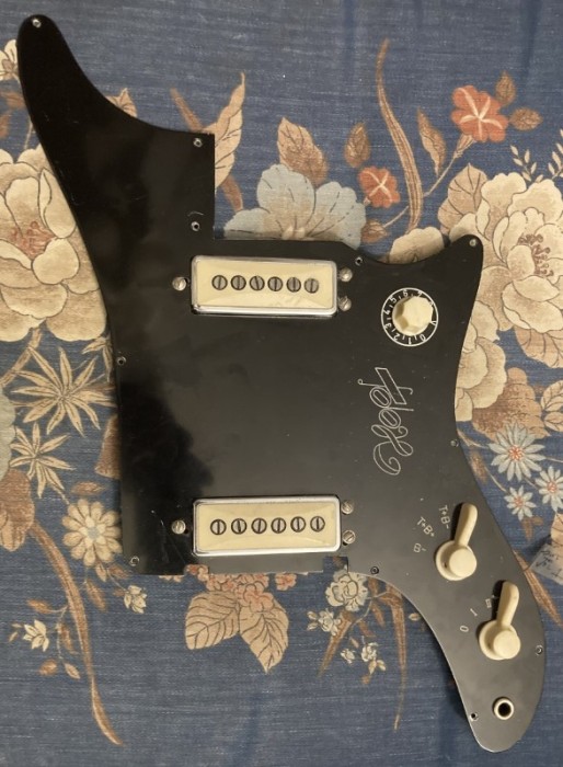 pickguard done.jpg