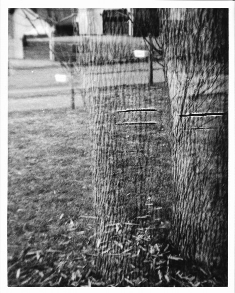 Holga Double Exposure