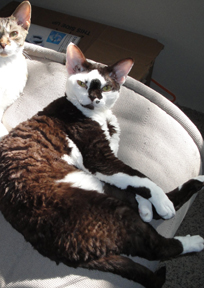 kits.jpg