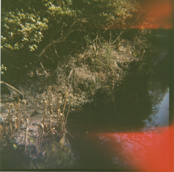 24-06-2010 10;30;47.JPG