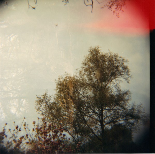 24-06-2010 10;30;50.JPG