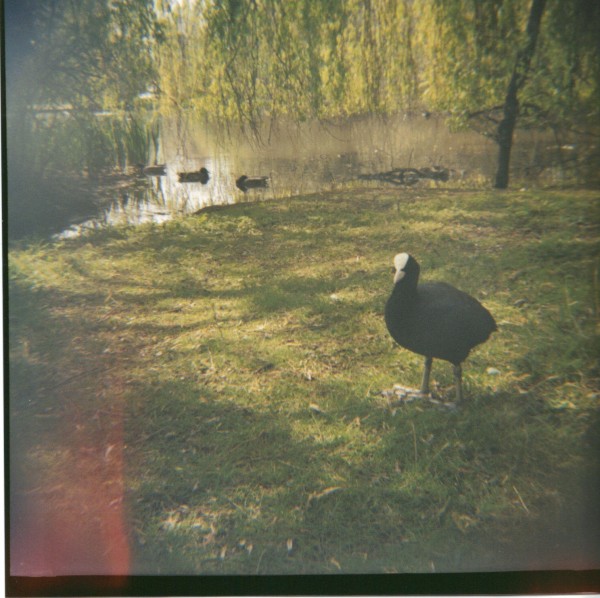 24-06-2010 10;46;20.JPG