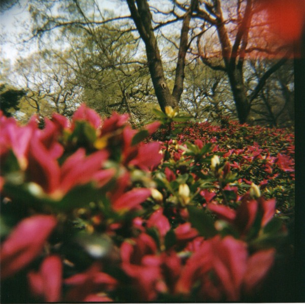 24-06-2010 10;53;58.JPG