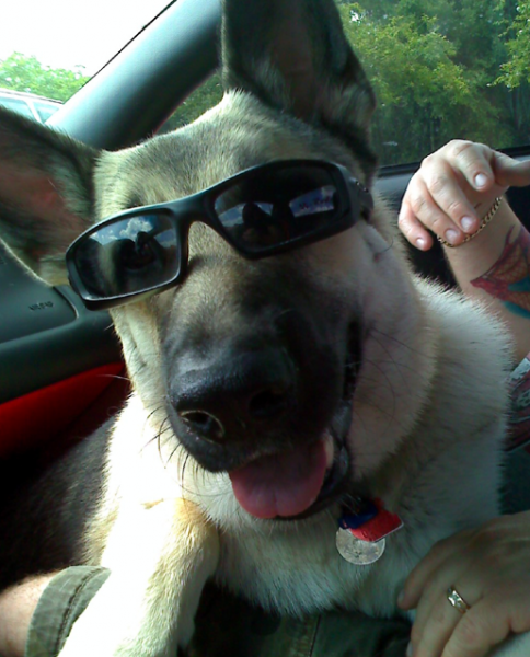 Screen shot 2010-07-15 at 7.45.22 PM.png