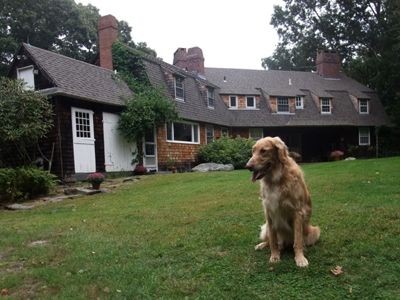 Looking all majestic this summer... no, that's not my house, but I'd like to pretend that it is.