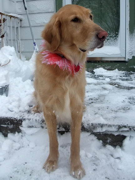 Just a couple of days ago. And yes, that is my house. You can come over if you're willing to shovel snow.