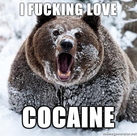 Grizzly on coke wants You