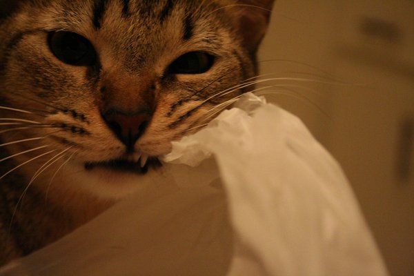 Dec. 23 '07 (2) - Copy.JPG